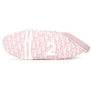 Christian Dior Pink Trotter Belt Bag